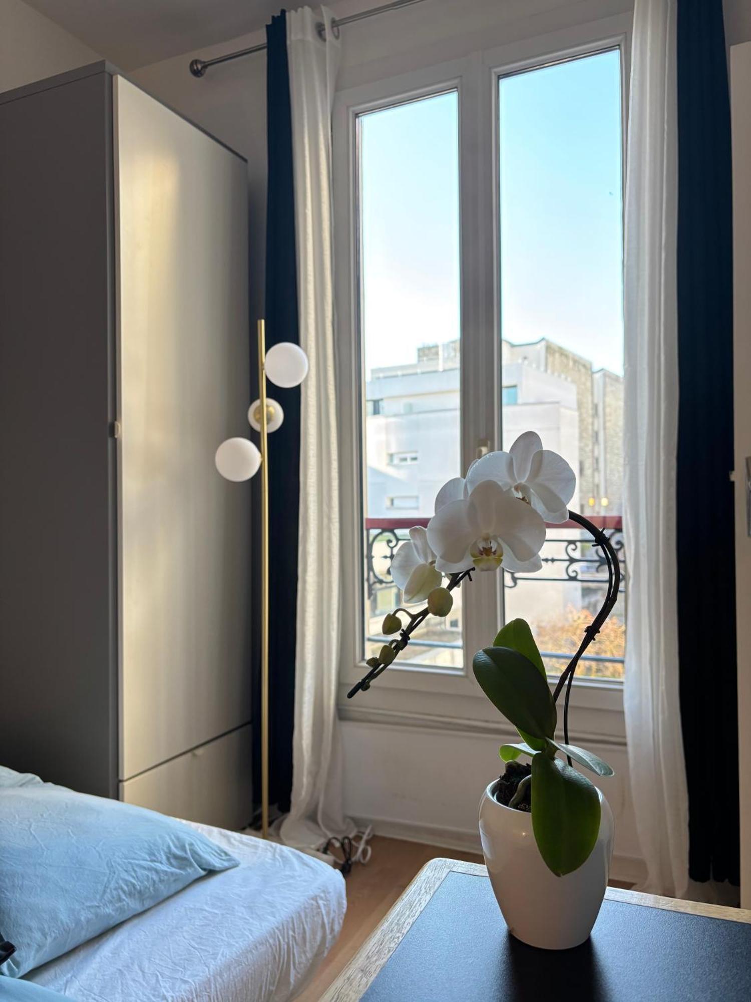 Bright Appartement